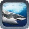 Great White Shark icon