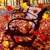 Autumn Live Wallpaper icon