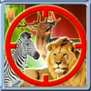Safari Animal Hunting icon
