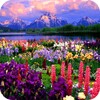 Valley of Flowers live wallpaper icon