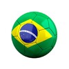 Futebol Brasil icon