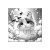 Jigsaw Puzzles Story icon