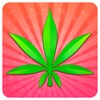 Pot Profit icon