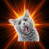 Cat Sounds icon