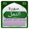 Icono de سورة النمل المعيقلي 