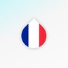 Drops: Learn French language and words for free icon