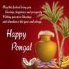 Happy Pongal: Greetings,Quotes,Wishes,GIF icon