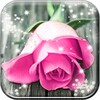 Pink Rose Live Wallpaper HD icon