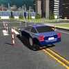 Икона Dynamic Driving Test 3D