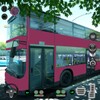 Euro Coach Bus Simulator Pro icon