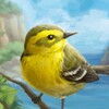 Birds of a Feather Card Game icon