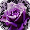 3D Rose icon