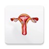 Icono de Diet & Help for Uterine Fibroids