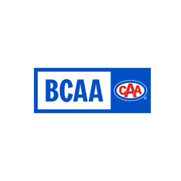 BCAA for Android - Download the APK from Uptodown