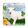 Icono de Little Lamb