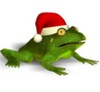 Christmas Super Frog icon
