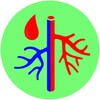 vascular diseases icon