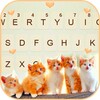 Cute Kittens Keyboard Backgrou icon