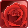 Rose Wallpaper 图标
