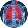 Respiratory System icon