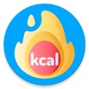 kJ to kcal converter icon