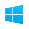 Microsoft Windows icon