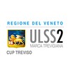 Pictogramă ULSS9 CUP