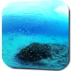 Underwater World Wallpaper icon
