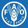 FAO-FAMEWS V3 icon