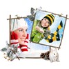 Winter Frames icon