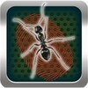Kill Ants Game icon