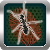 Kill Ants Game android app icon
