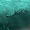 Plesiosaurus Simulator icon