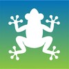 Bermuda Tree Frog icon