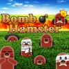 Bomb Hamster icon