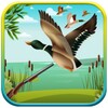 Duck Hunting 3D icon