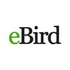 eBird by Cornell Lab icon