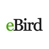 eBird by Cornell Lab 아이콘