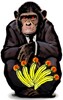Banana Fight icon