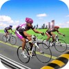 Bicycle Racing Simulation 2017 icon