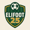 Ikon Elifoot 23