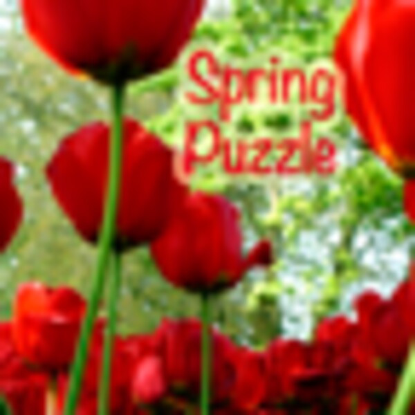 Spring Puzzle for Android - Download the APK from Uptodown