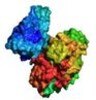 Icon von PyMOL