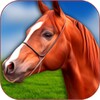 3D Horse Simulator icon