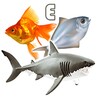 Icono de Fish Types