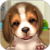 Icon von MyDogs