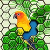 Icono de Jigsaw Puzzles Hexa