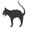 NetCat icon