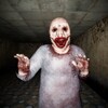 Icono de Fear Zone