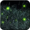Firefly trial 아이콘